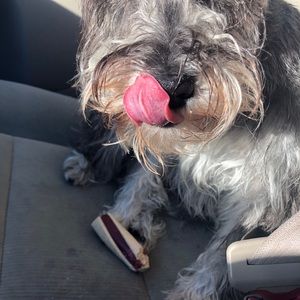 Meet your Posher, Kyle